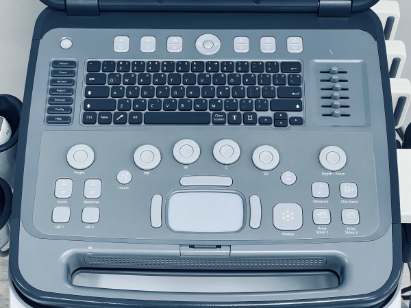 Siemens Acuson P500