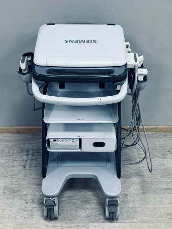 Siemens Acuson P500