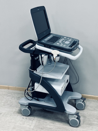 Siemens Acuson P500