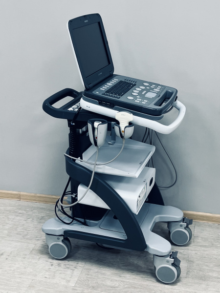 Siemens Acuson P500